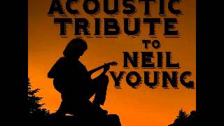 Cinnamon Girl  Neil Young Acoustic Tribute [upl. by Yenreit647]