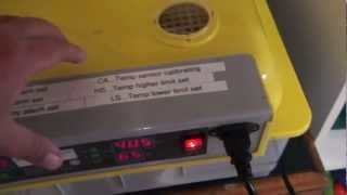 Cheap Chinese egg incubator review [upl. by Assirahc340]