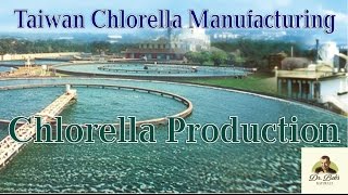 Worlds Best Chlorella Producer  Taiwan Chlorella [upl. by Atwahs]