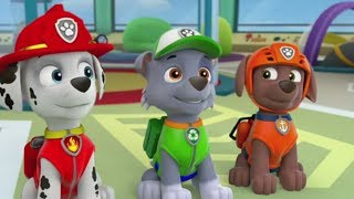 La Patrulla Canina en Español Capitulos Completos 2  Paw Patrol Full Episodes [upl. by Fabian]