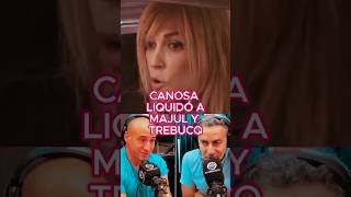 CANOSA LIQUIDÓ A PERIODISTAS CHUPAMEDIAS DE MILEI canosa milei majul trebucq chupamedias [upl. by Diahann]