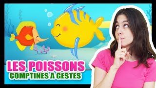 Les petits poissons dans leau  Comptines à gestes pour les bébés  Titounis [upl. by Calder]