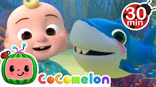 Baby Shark  CoComelon  Kids Cartoons amp Nursery Rhymes  Moonbug Kids [upl. by Nellad]