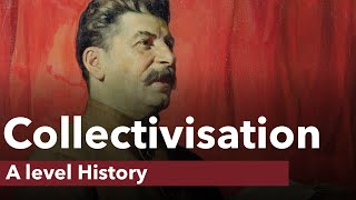 Collectivisation in the USSR  A level History [upl. by Ssyla534]