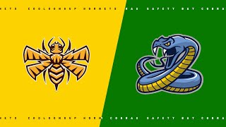 AFLV 2024 Round 17  Hornets v Cobras [upl. by Lubet148]