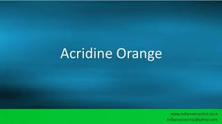 Pronunciation of the words quotAcridine Orangequot [upl. by Kwok]