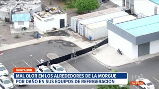 Persiste el mal olor a los alrededores de la morgue del Laboratorio de Criminalística en Guayaquil [upl. by Llemert644]