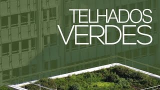 Telhados Verdes O Guia Completo [upl. by Einra]