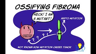 Cementoossifying fibroma  Controversies Clinical features Radiology and Histopathology [upl. by Kamila]