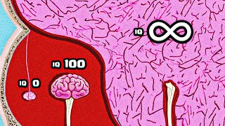 Can this Brain Grow to INFINITY IQ [upl. by Ackerman]