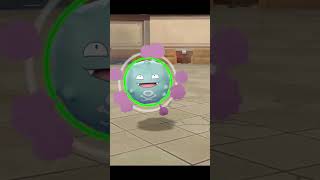 shiny Koffing [upl. by Antonin]