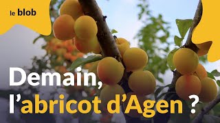 Agriculture française  les défis du changement climatique expliqués par Serge Zaka  interview [upl. by Marlie]