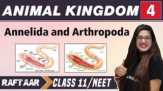 Animal Kingdom 04  Annelida and Arthropoda  Class 11NEET  RAFTAAR [upl. by Sitnik]