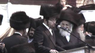 Chazan Yakov Yosef Stark sings quotAneinuquot [upl. by Aicelef]