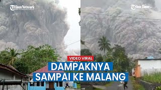 Inilah Dampak Gunung Semeru Meletus Hari Ini Semua Waspada [upl. by Li]