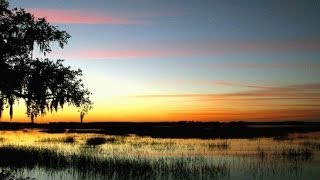 Seabrook Island Flyover Take a Tour Charleston SC [upl. by Ellimak445]