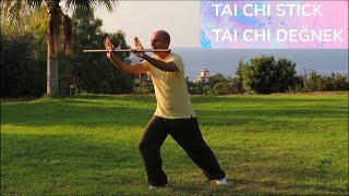 Tai Chi Stick Taiji Yangsheng Zhang [upl. by Marigolda]