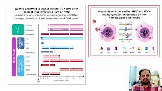 HR The talk about earliest hepatitis B virushepatocyte genome integration [upl. by Diba42]