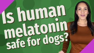 Is human melatonin safe for dogs [upl. by Elatnahc]