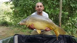 Dreamlakes Lake 1  Serious Carp Socials [upl. by Salvucci]