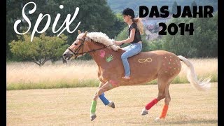 Spix  Das Jahr 2014 [upl. by Alien]