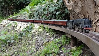 9F on passenger train Dorking Garden Railway [upl. by Anigriv]