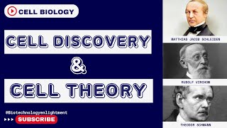 CELL DISCOVERY amp CELL THEORYCell biology Modern cell theory [upl. by Bethesde]