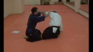 Sensei Roy Jerry Hobbs ve Adnan Safak Yuksel Dentokan jujutsu 05 Uchi Komi DoriNidanGiwmv [upl. by Rakel625]