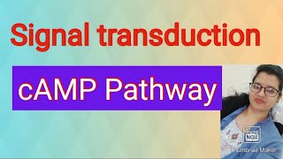 2 GPCR cAMP PathwaySignal transduction [upl. by Stalder788]