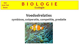 Biologie  Ecologie  Voedselrelaties symbiose coöperatie competitie en predatorprooirelatie [upl. by Enerehs]