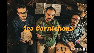 Les Cornichons  Nino Ferrer  revisited by The French Saucisson Syndicate [upl. by Anolla528]