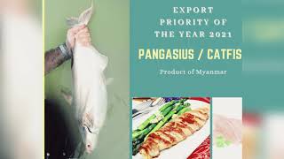 Pangasius Catfish Promotion Video [upl. by Nytsirt984]