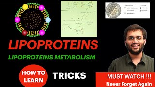 Lipoproteins Biochemistry  Lipoprotein Metabolism Structure Function  Lipid Metabolism Video [upl. by Dragone]