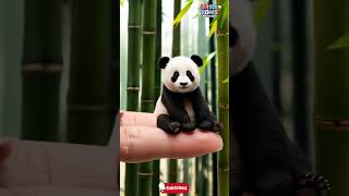 Adorable TINY Panda Takes Over My Finger [upl. by Amej61]