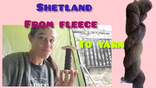 SHETLAND from FLEECE to YARN [upl. by Arundel126]