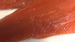 Parasitic worms in salmon at Costco [upl. by Erle287]