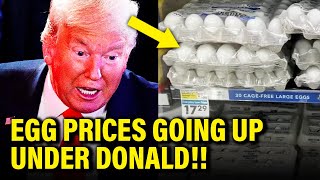 Trump LIES on Egg Prices BLOW UP in HIS FACE [upl. by Accber]