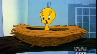 I Tawt I Taw a Puddy Tat Tweety Compilation [upl. by Suoivart]