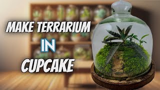 Make simple terrarium in mini cupcake 🎂 [upl. by Anrahc656]