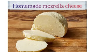 Homemade mozrella cheese easy and simple recipehomemadefood mozerella cheeselover food cooking [upl. by Neoma]