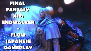 Final Fantasy XIV Endwalker  Flow Lyrics Japanese Gameplay [upl. by Luemas735]