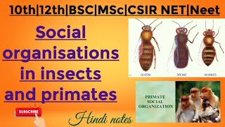 Social Organization in insects and primates MSc zoology 4 th sem Hindi notes [upl. by Barbey]