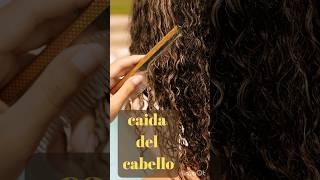 🔴Causas Comunes Hábitos Mitos y descubriendo los verdaderos motivos sobre la Caída del Cabello🔴 [upl. by Kramal259]