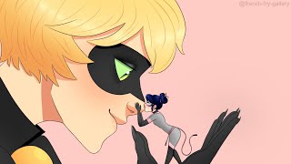 A MultiMouse in the Cheese Store  A Miraculous Ladybug Fanfiction [upl. by Yonina447]