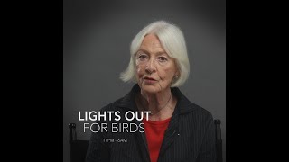 Jane Alexander  Lights Out for Birds [upl. by Ennahs190]