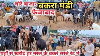 चौरे बाजार बकरा मंडी फैजाबाद 🐐💯 Chaure Bazar Bakra Mandi Faizabad Bakra mandi 2024 [upl. by Devy]