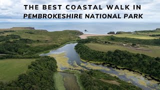 Bosherston Lily ponds Broadhaven South amp Barafundle Bay  Pembrokeshire National Parks best walk [upl. by Carley]