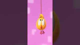 Daring rescue Shorts chicky  Chicky Cartoon in English for Kids [upl. by Connors]