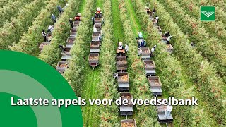 Laatste appels naar voedselbank ‘winwinsituatie’ [upl. by Lyrehc685]