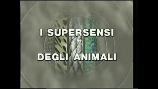 I supersensi degli animali 16 Il sesto senso [upl. by Tolmach]